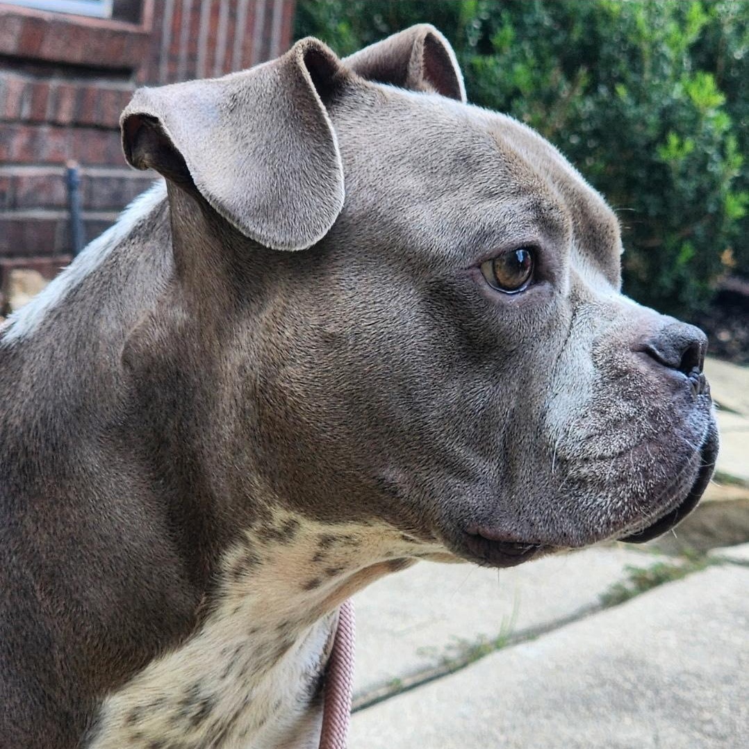 Hershey — thumbnail 3