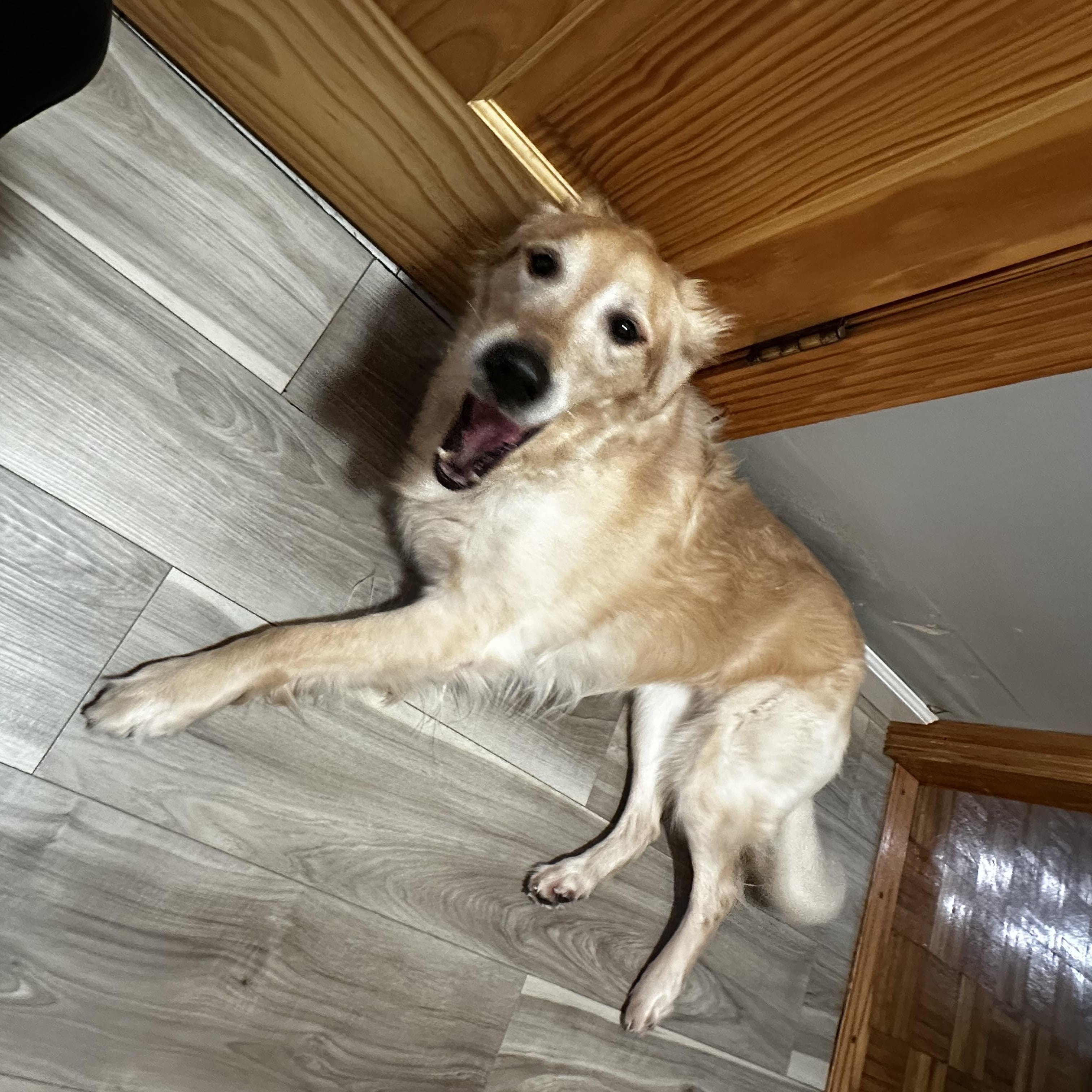 Riley photo