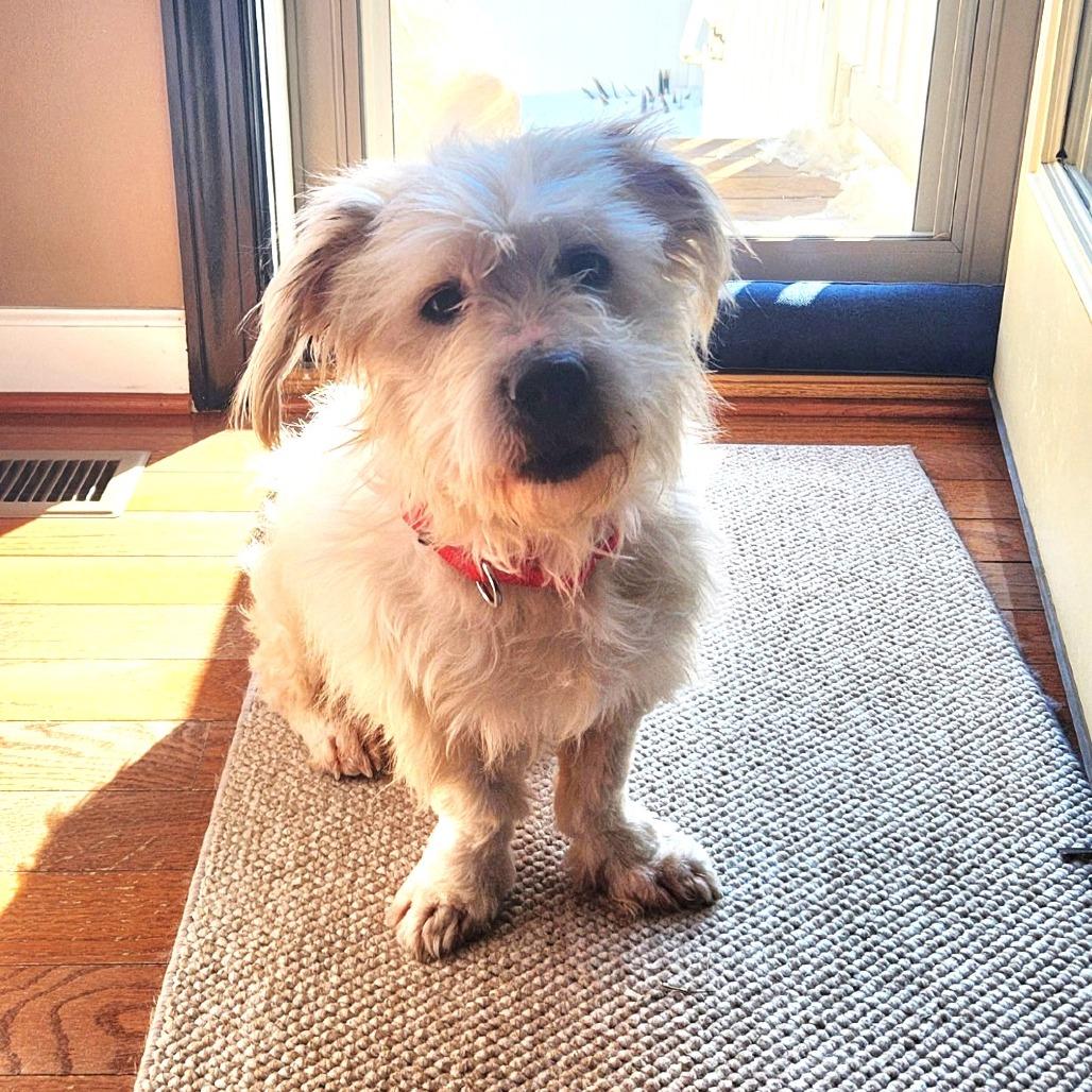 Stewie — thumbnail 2