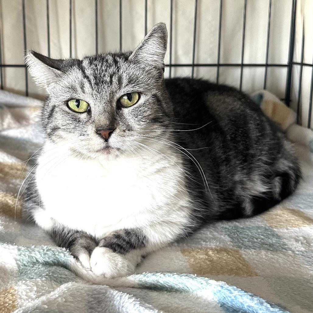 Leah — thumbnail 2