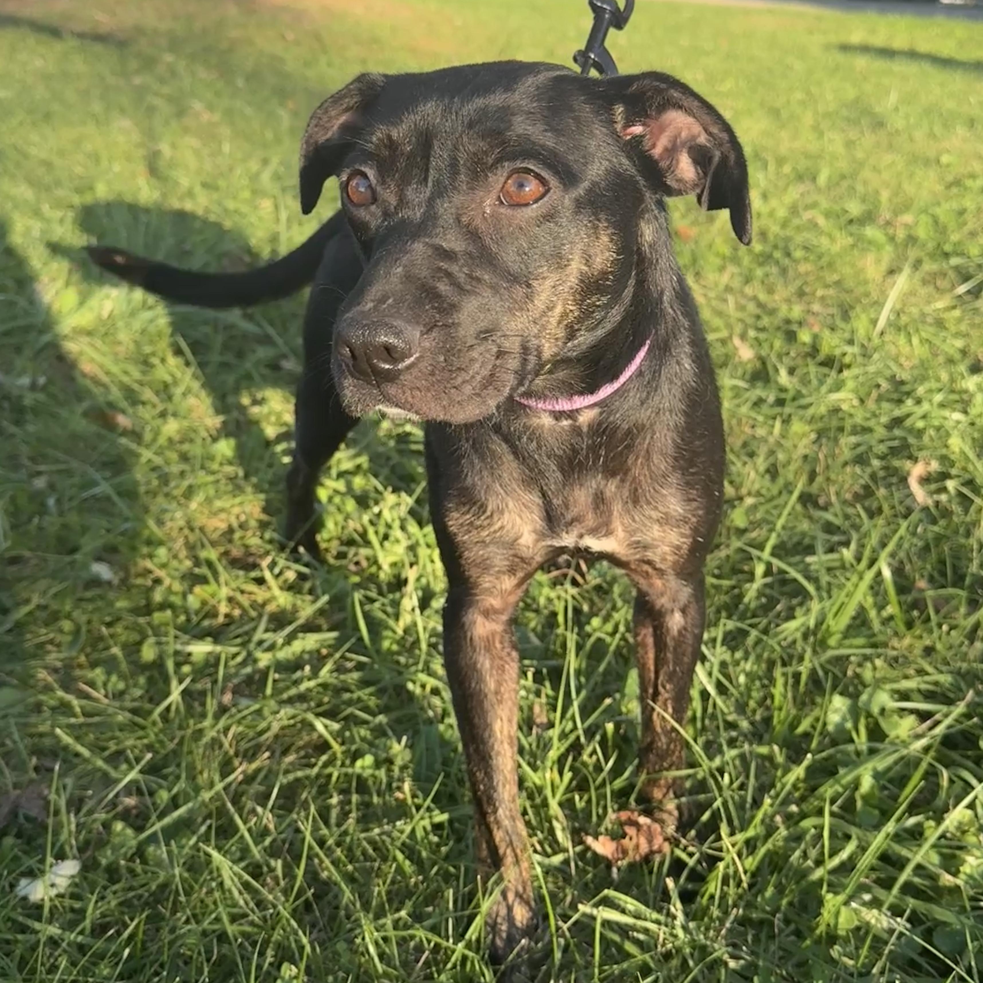 Mitzi photo