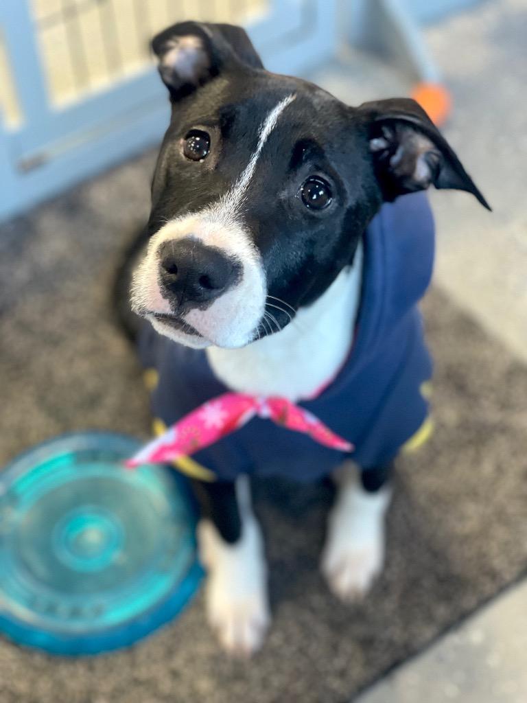 Shenzi Hernando  Local thumbnail 3