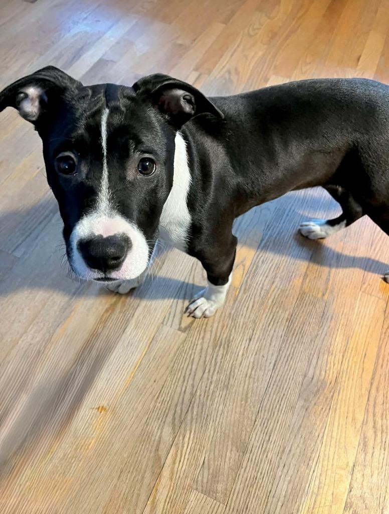 Shenzi Hernando  Local thumbnail 4