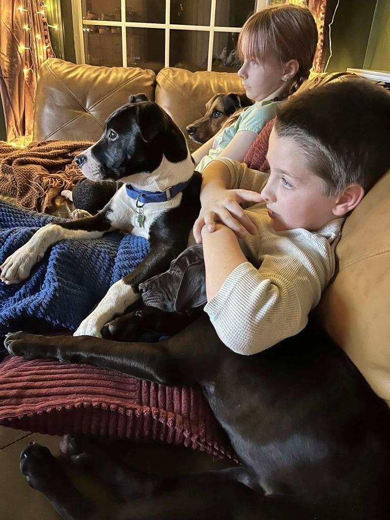 Shenzi Hernando  Local thumbnail 5