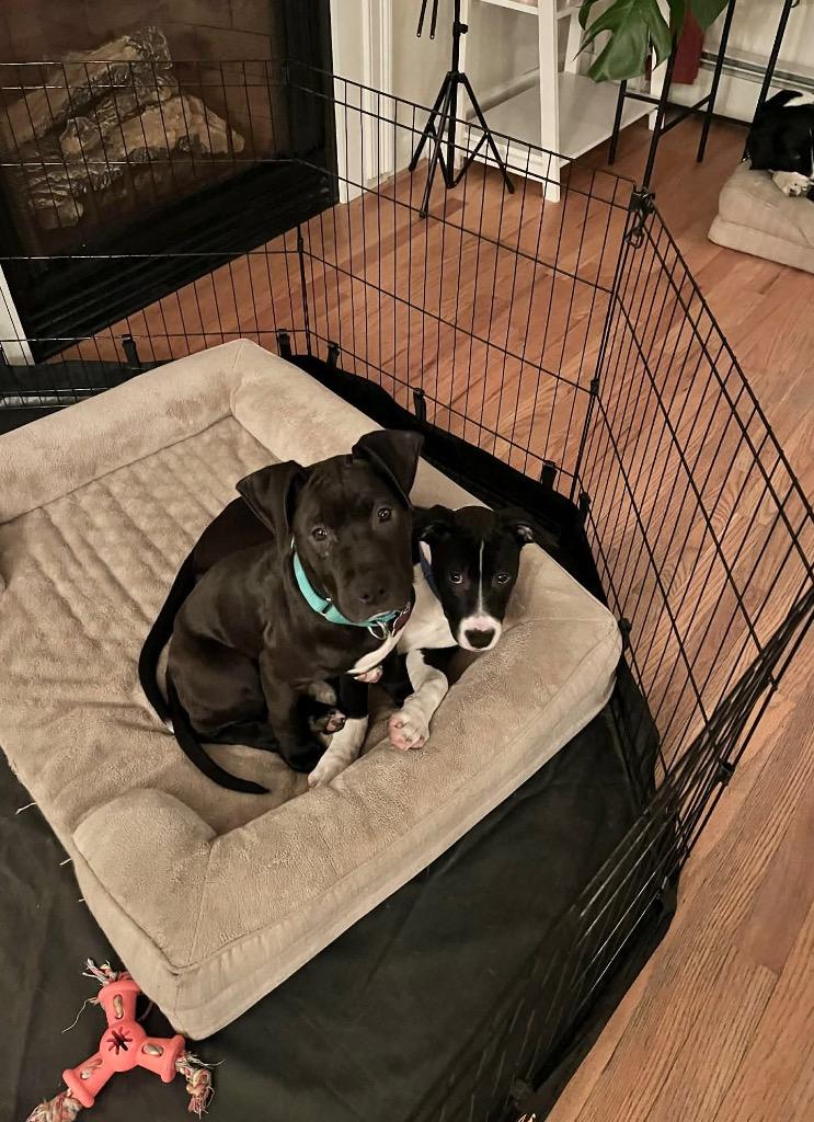 Shenzi Hernando  Local thumbnail 6