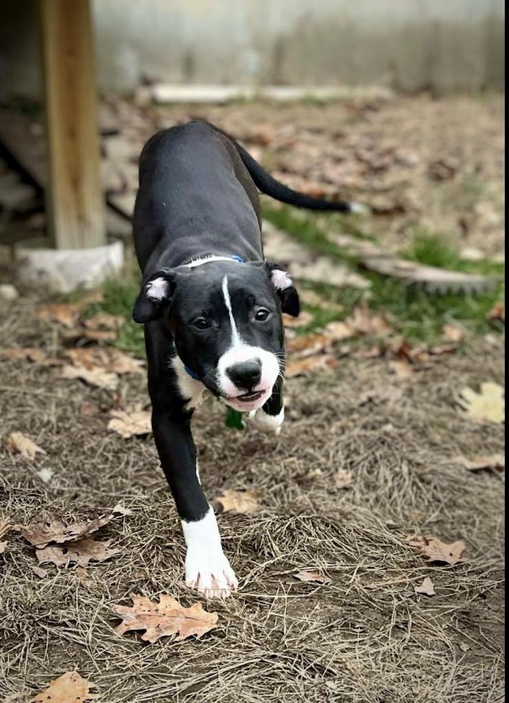 Shenzi Hernando  Local thumbnail 7