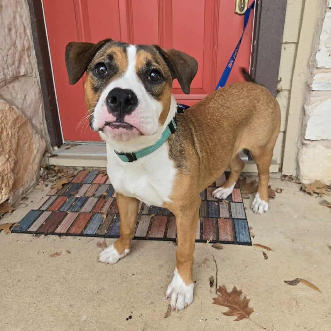 Nona — thumbnail 4