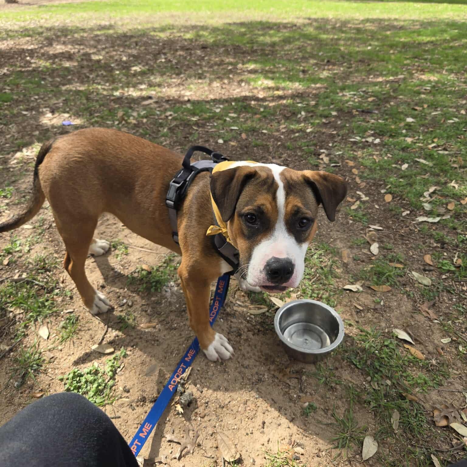 Nona — thumbnail 5