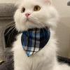 Enlarge DaDa C007128, a Adoptable Persian in Prosper, TX image 4/4