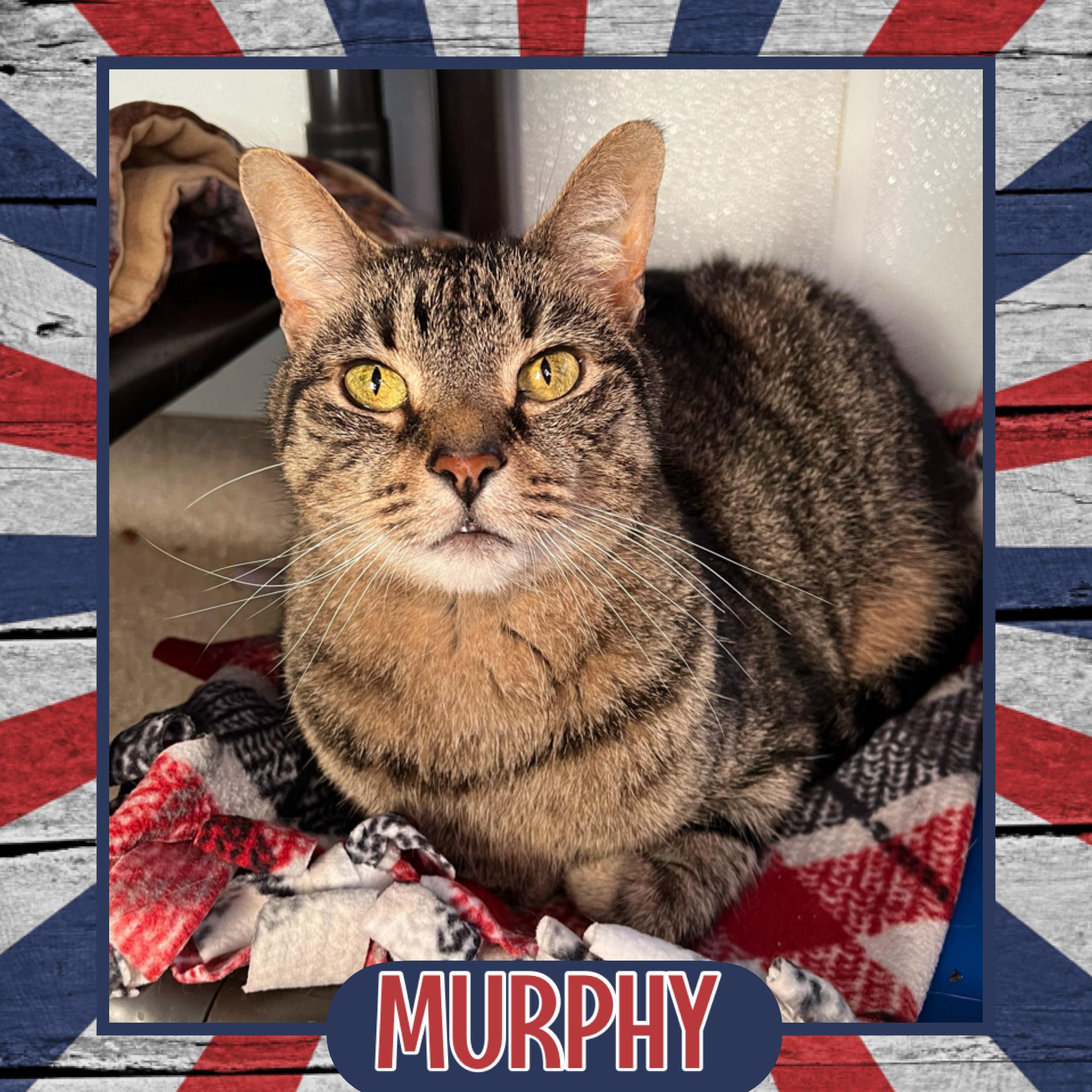 Murphy