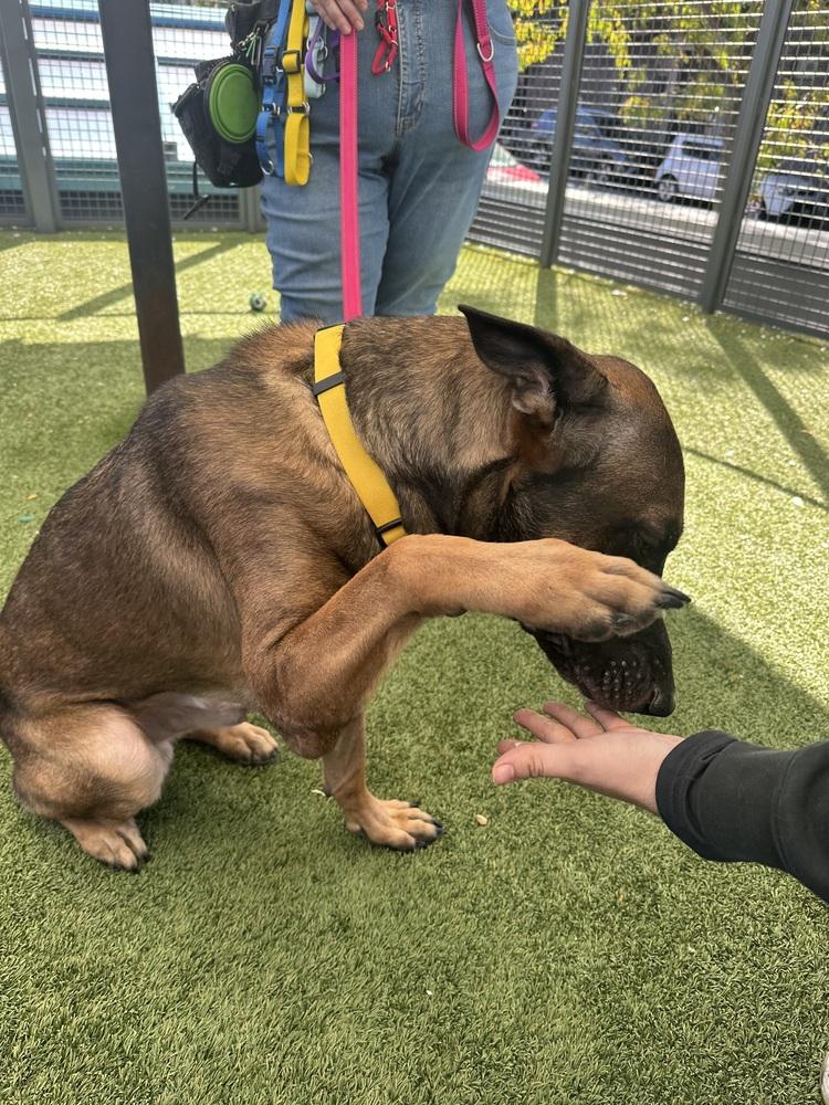 Jack Aka Jack O' thumbnail 3