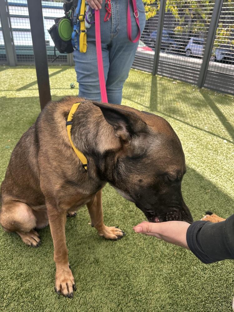 Jack Aka Jack O' thumbnail 4