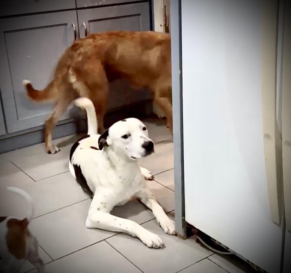 Brandon James — thumbnail 5