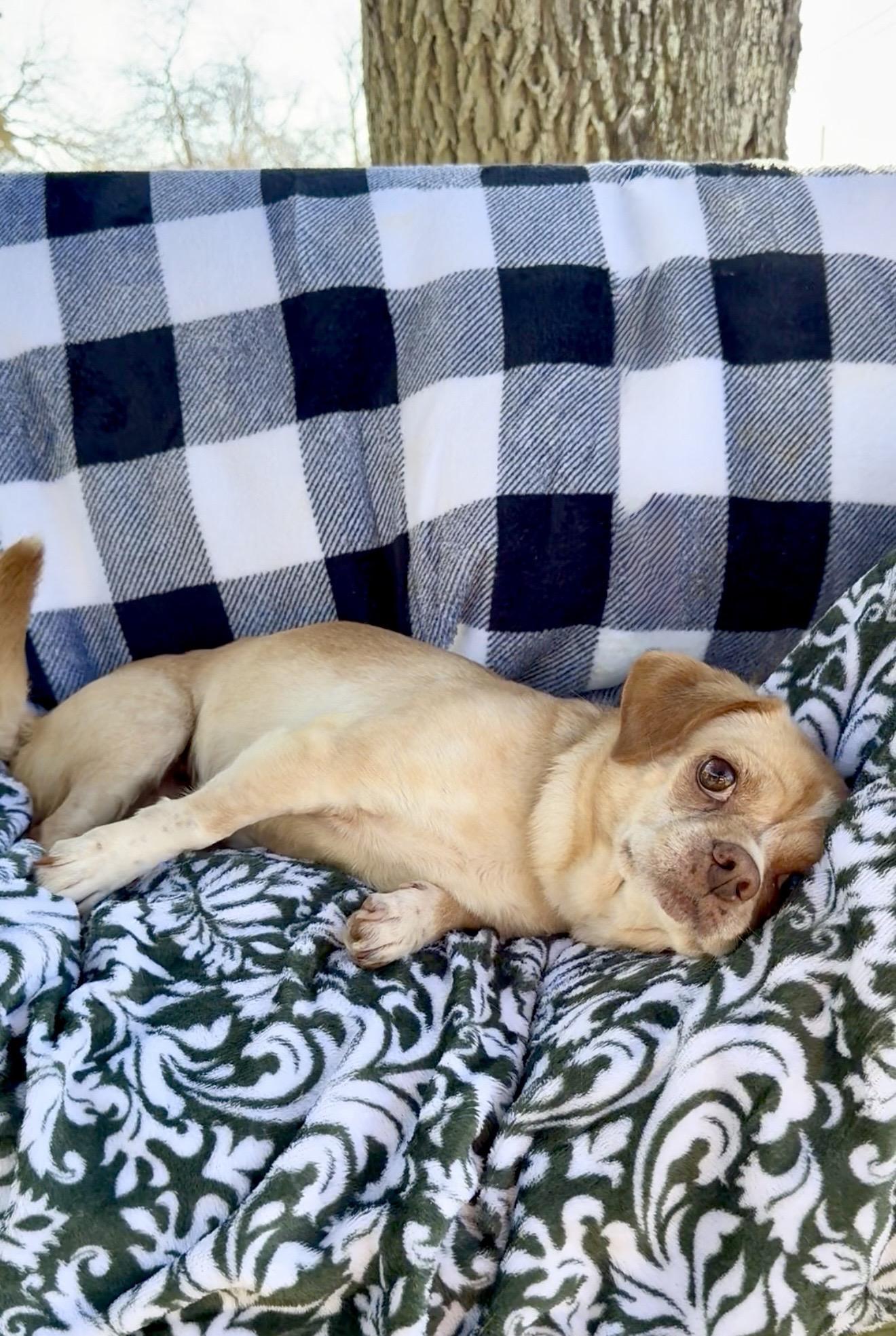 Snuggly Sally — thumbnail 2