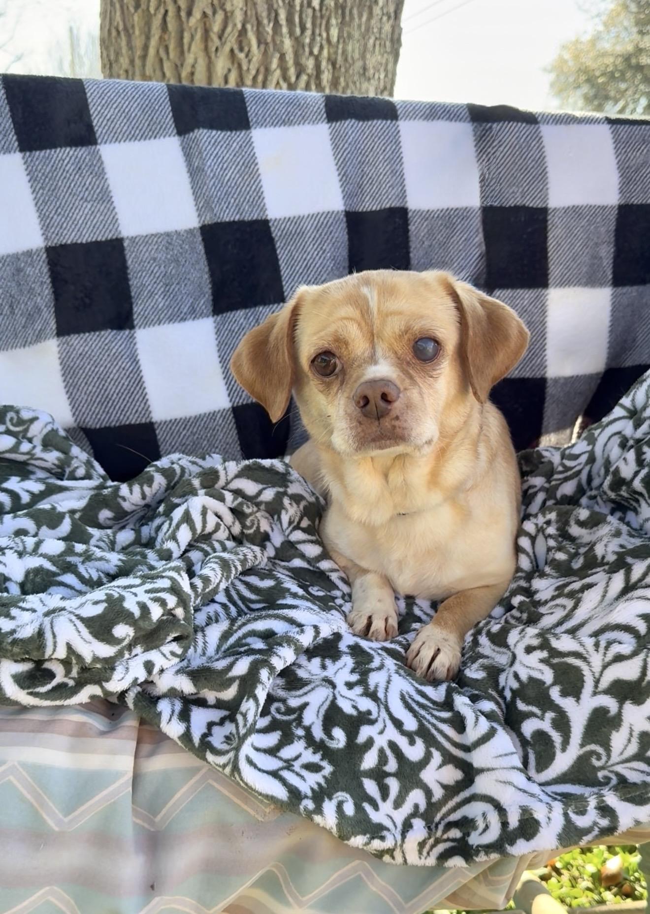 Snuggly Sally — thumbnail 3