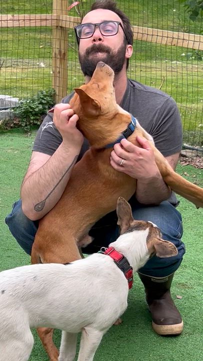 Enlarge Max, an adopted Mixed Breed in Bowdoin, ME video 5/6