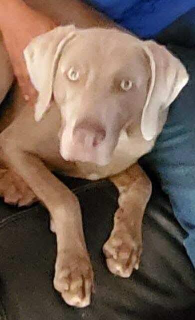 Morgan