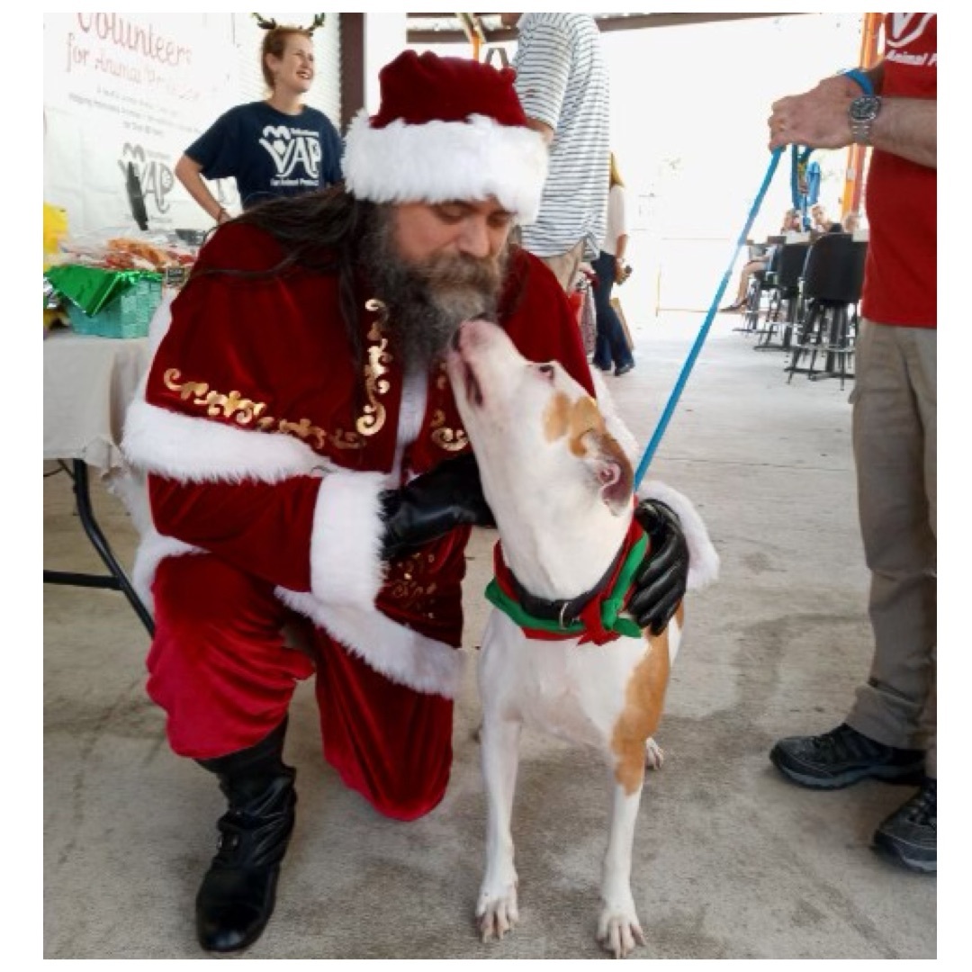 Petey — thumbnail 7