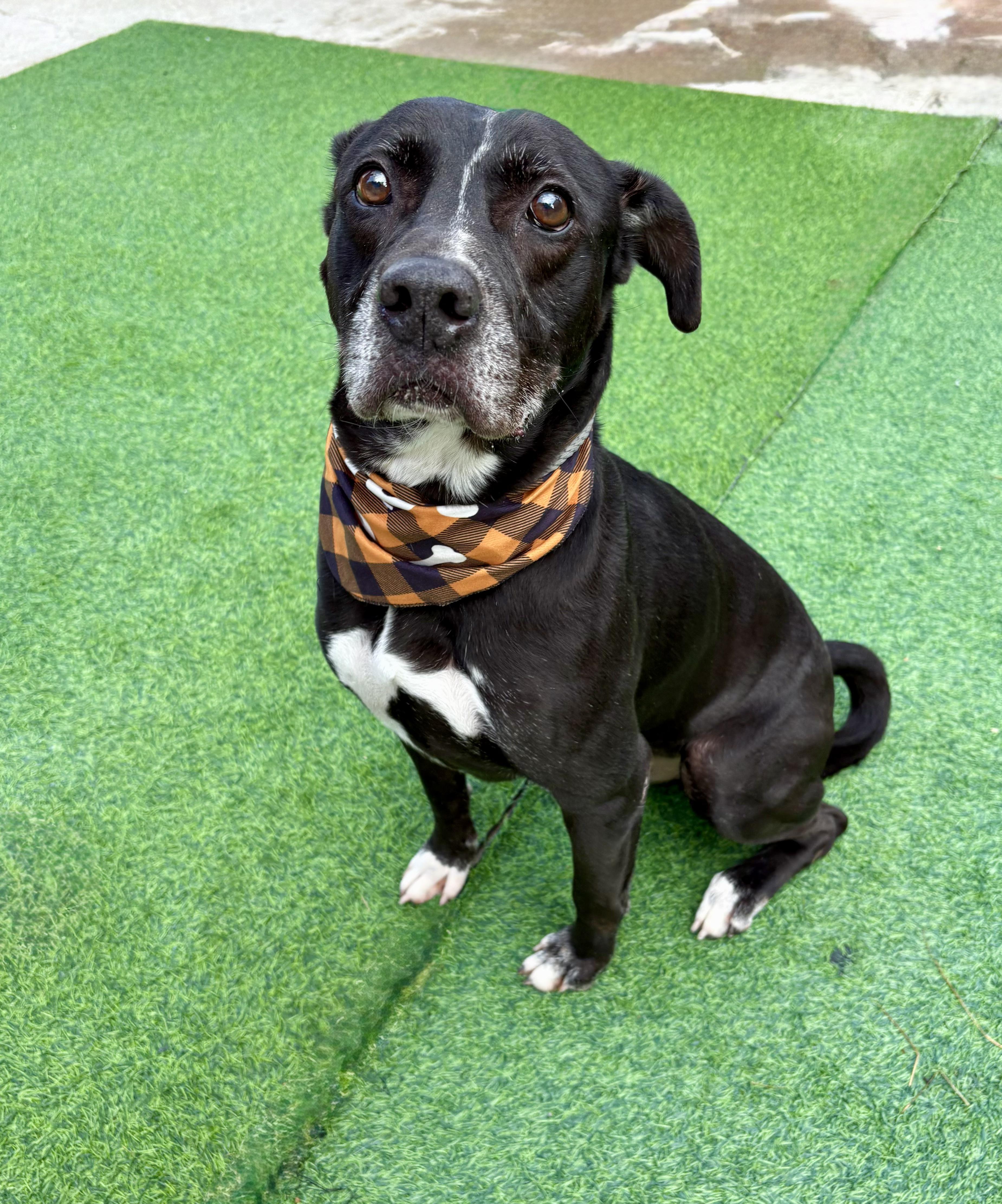 Colonel Sanders thumbnail 3