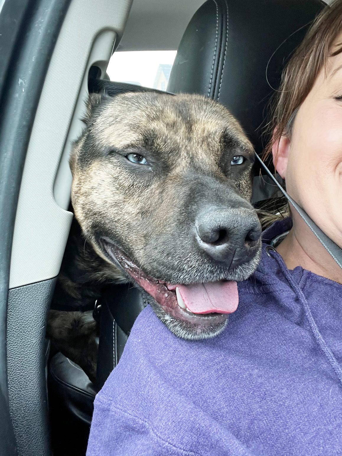 Smokey - fun-loving, handsome guy!
