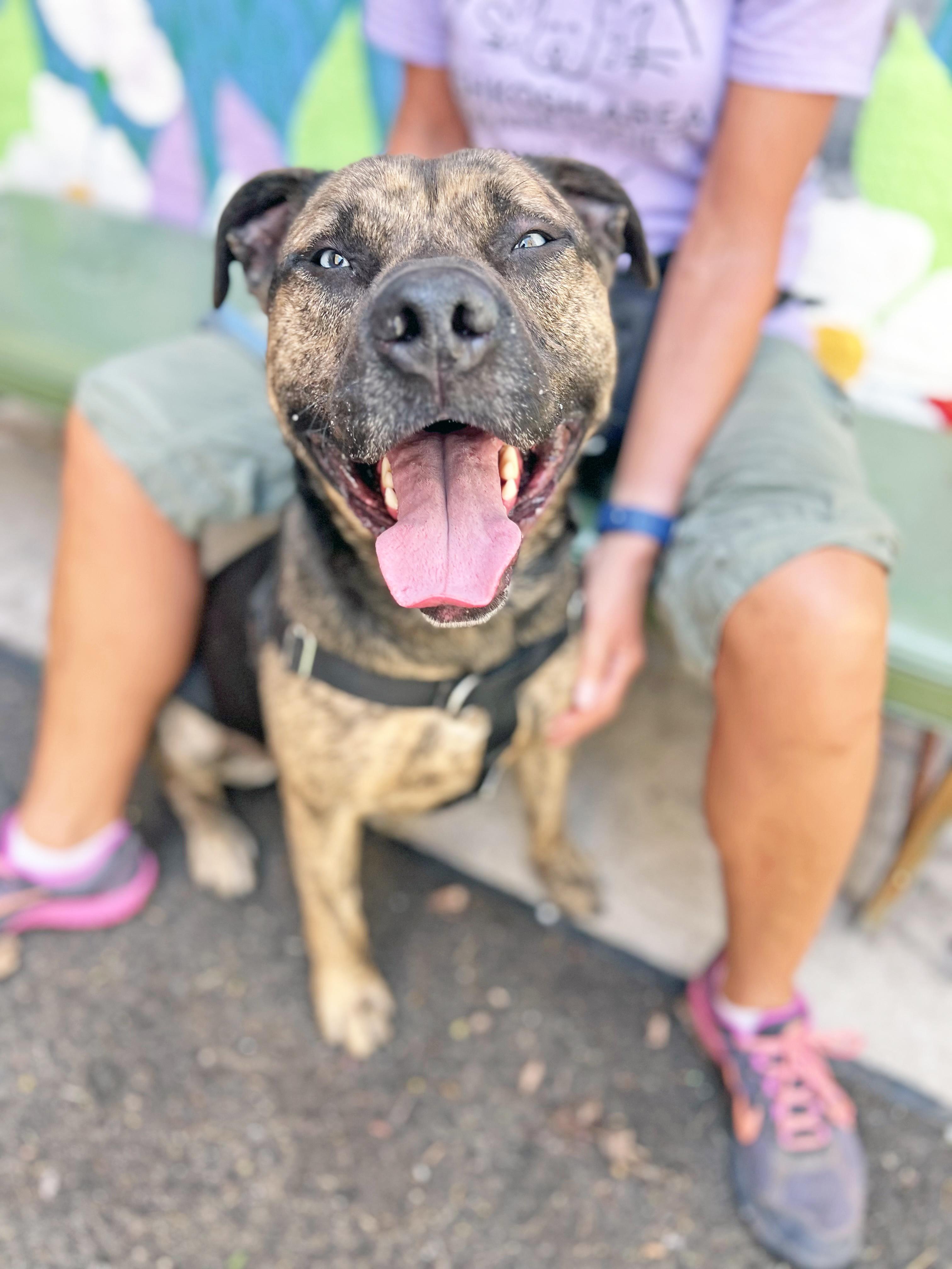 Smokey - fun-loving, handsome guy! 3