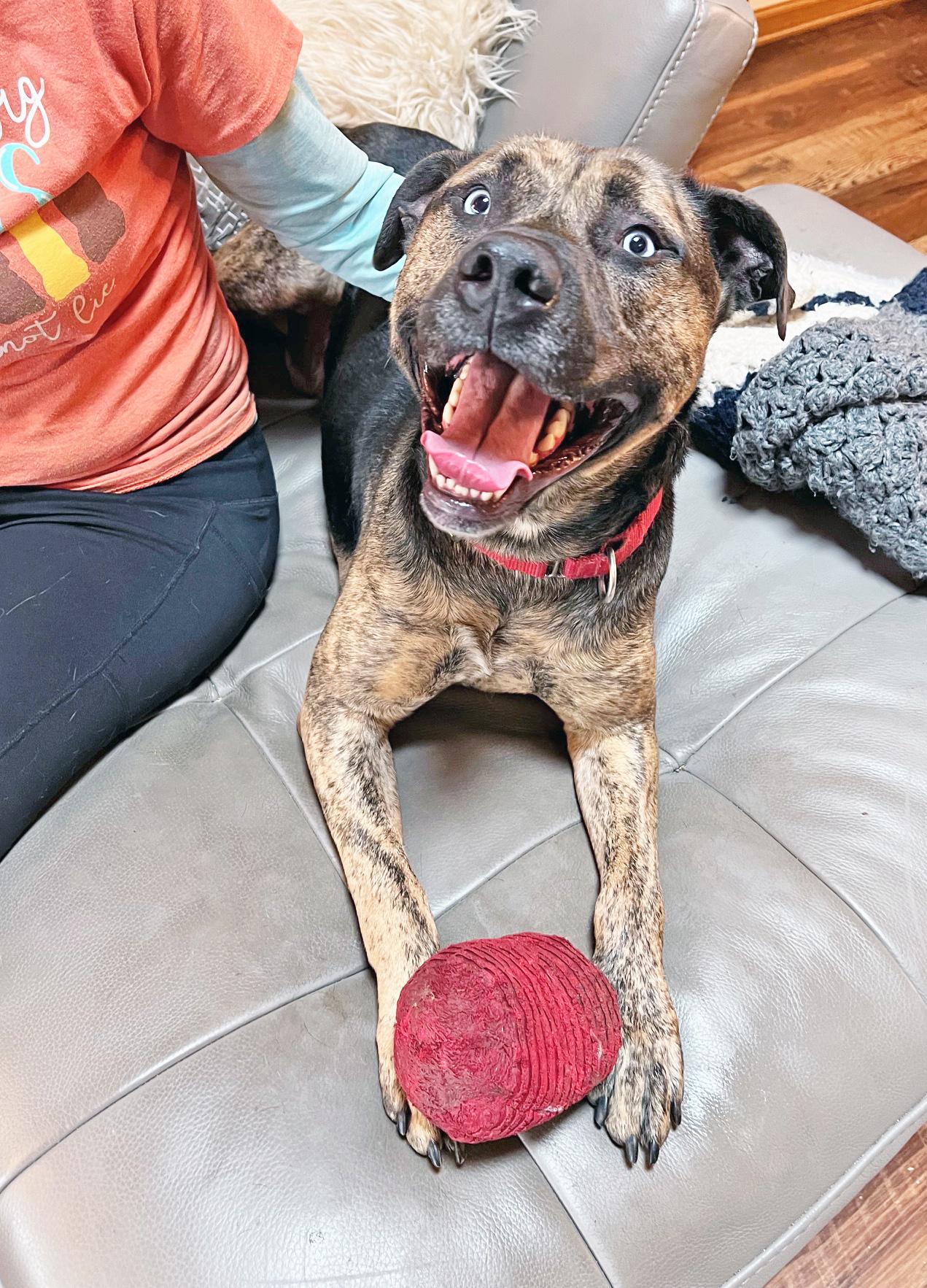 Smokey - fun-loving, handsome guy! 2