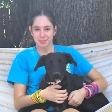 Harlow - Fostered in NJ photo 4