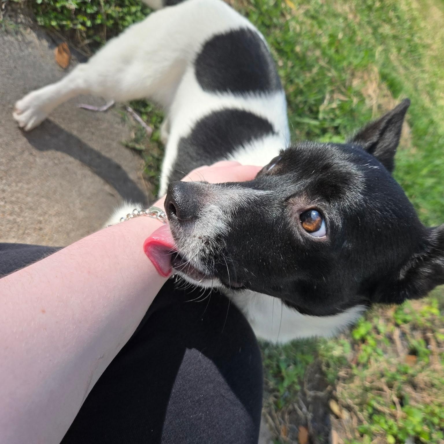 Chey — thumbnail 5