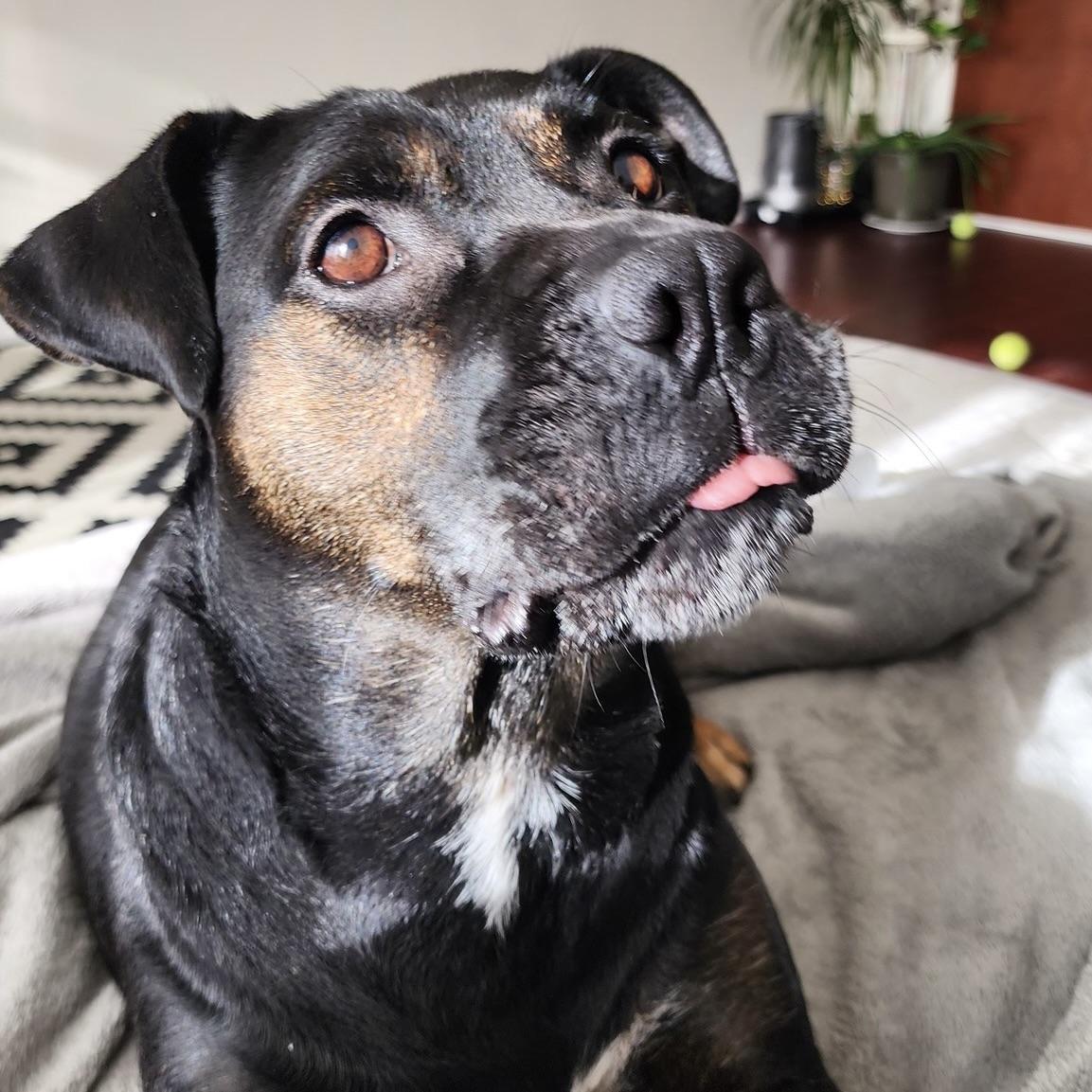 Soda (20250816-05) — thumbnail 2