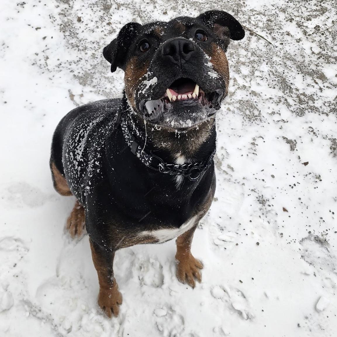 Soda (20250816-05) — thumbnail 3