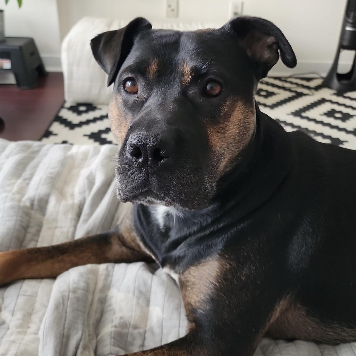 Soda (20250816-05) — thumbnail 4