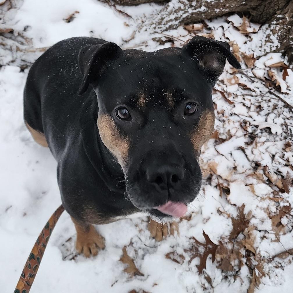 Soda (20250816-05) — thumbnail 5