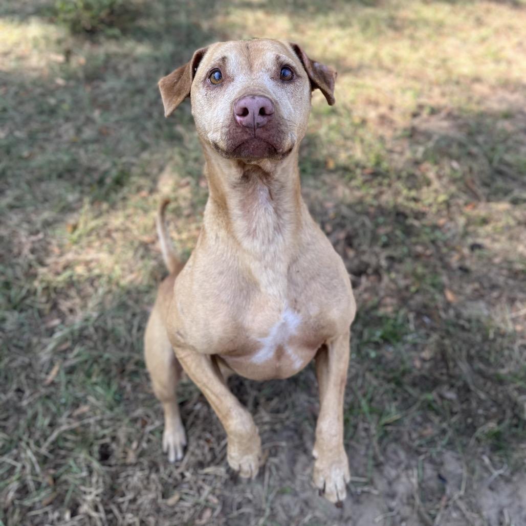 Security — thumbnail 2