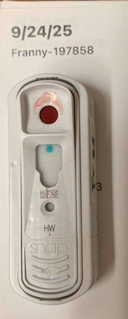 Enlarge Franny, a Adoptable mixed breed in Albany, GA image 6/6