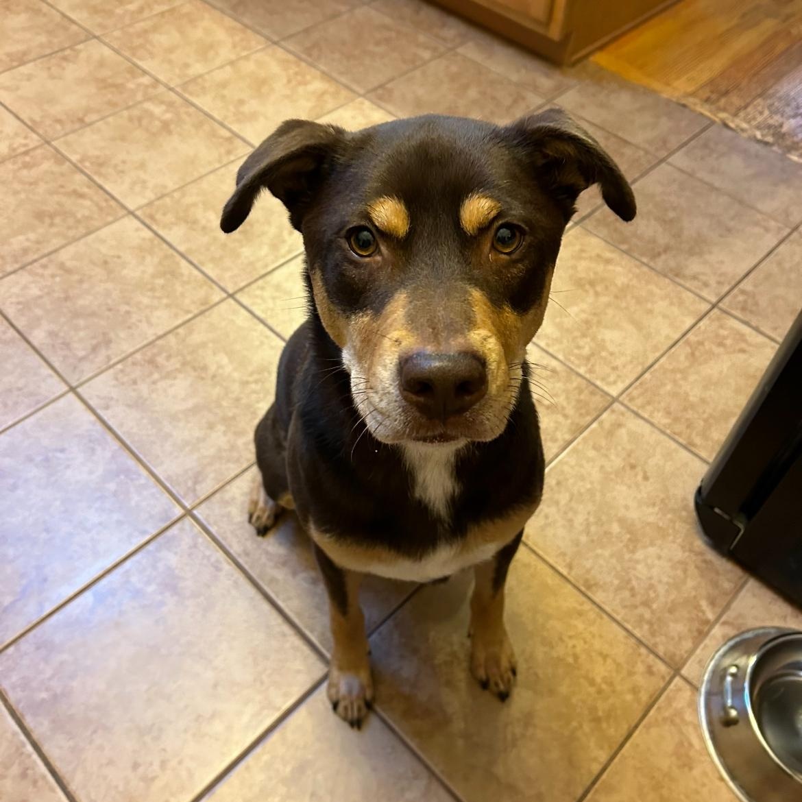 Reggie photo 5