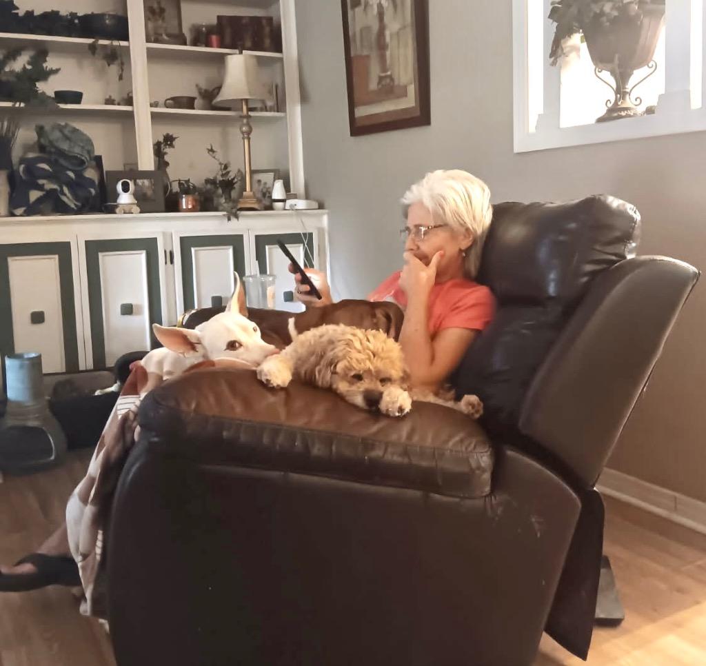 Buster, a Adoptable mixed breed in Princeton, MA image 4/6