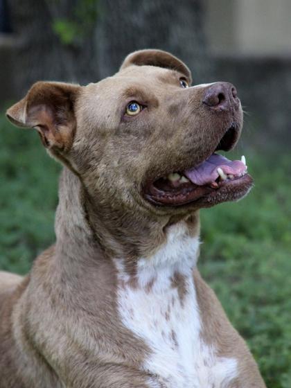 Miss Coco — thumbnail 3