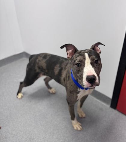 Jordan — thumbnail 2