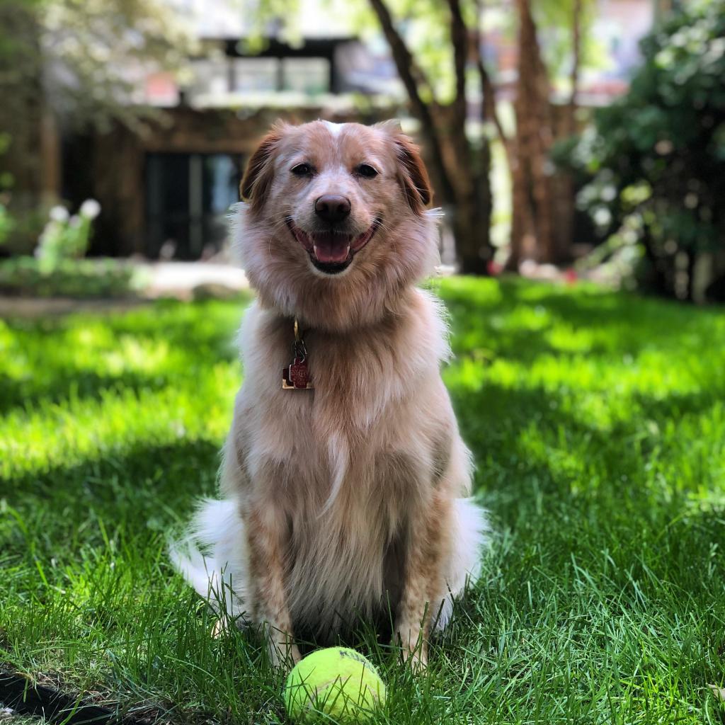 Root Beer thumbnail 6