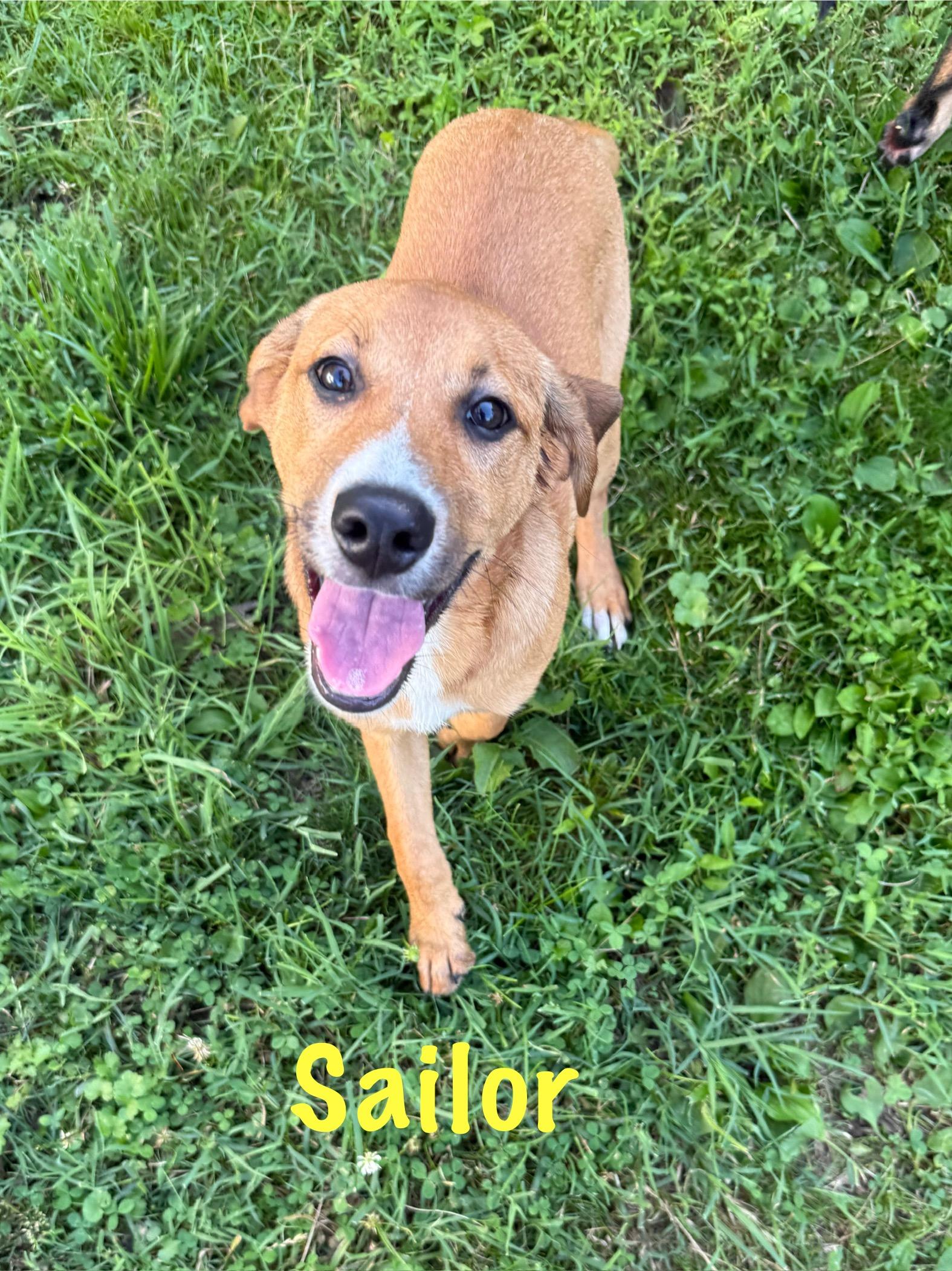 Sailor photo 2
