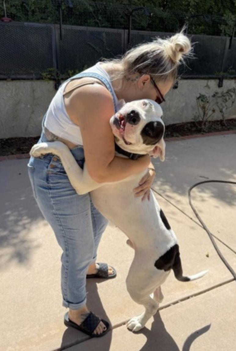 Boogie — thumbnail 2