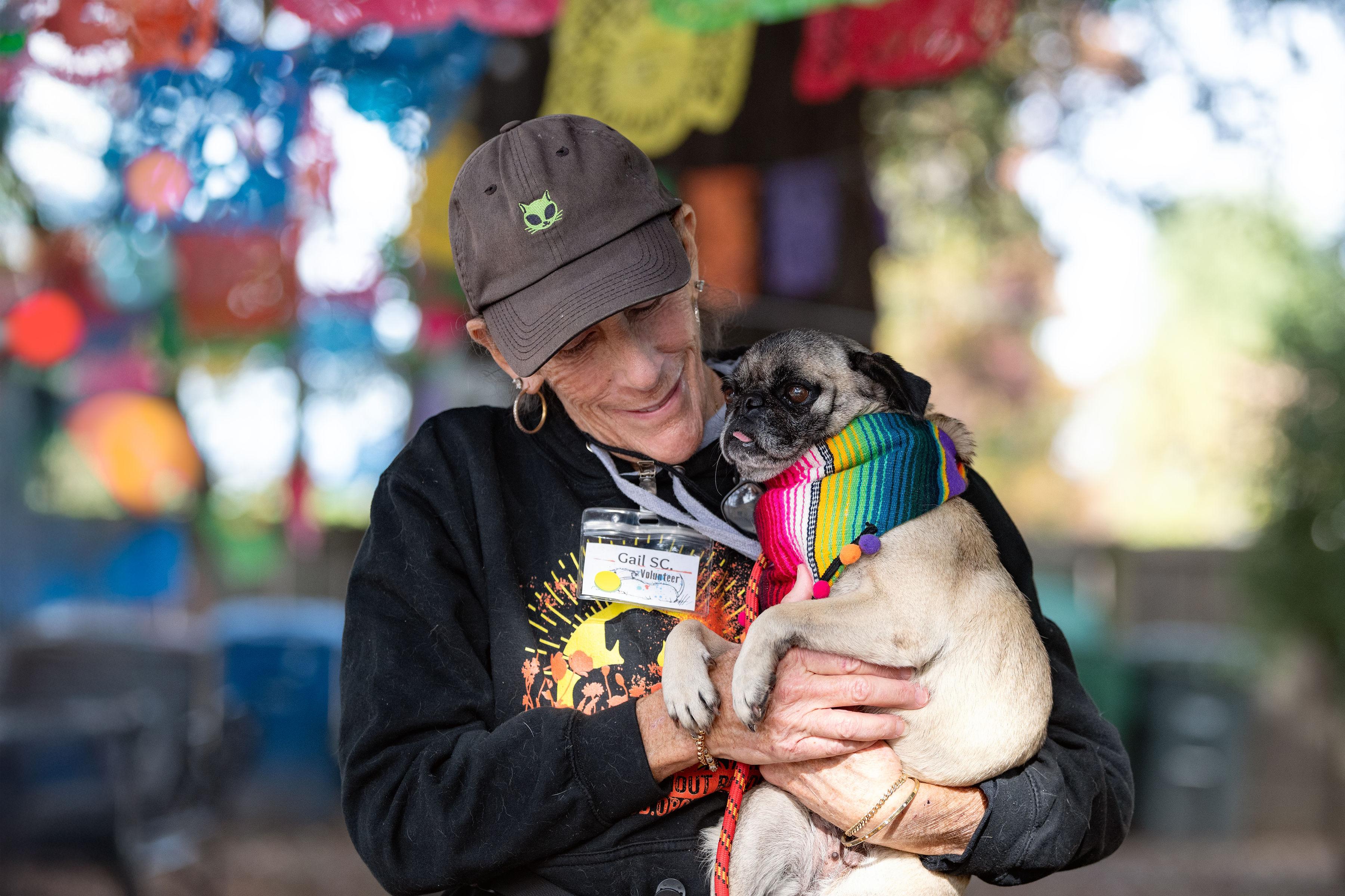 Enlarge Isabella, an adopted mixed breed in Santa Rosa, CA image 5/5