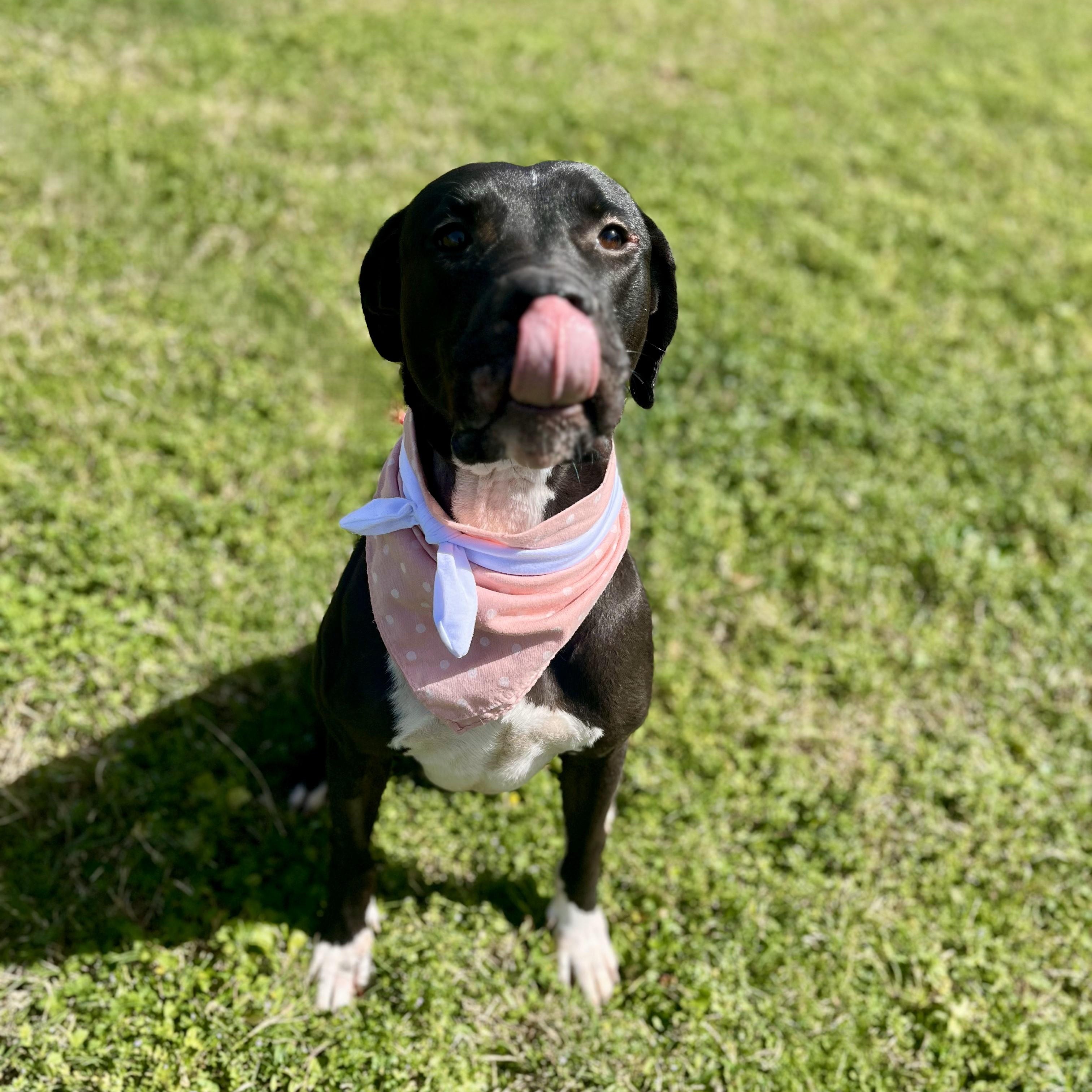 Cherry Cruz — thumbnail 4