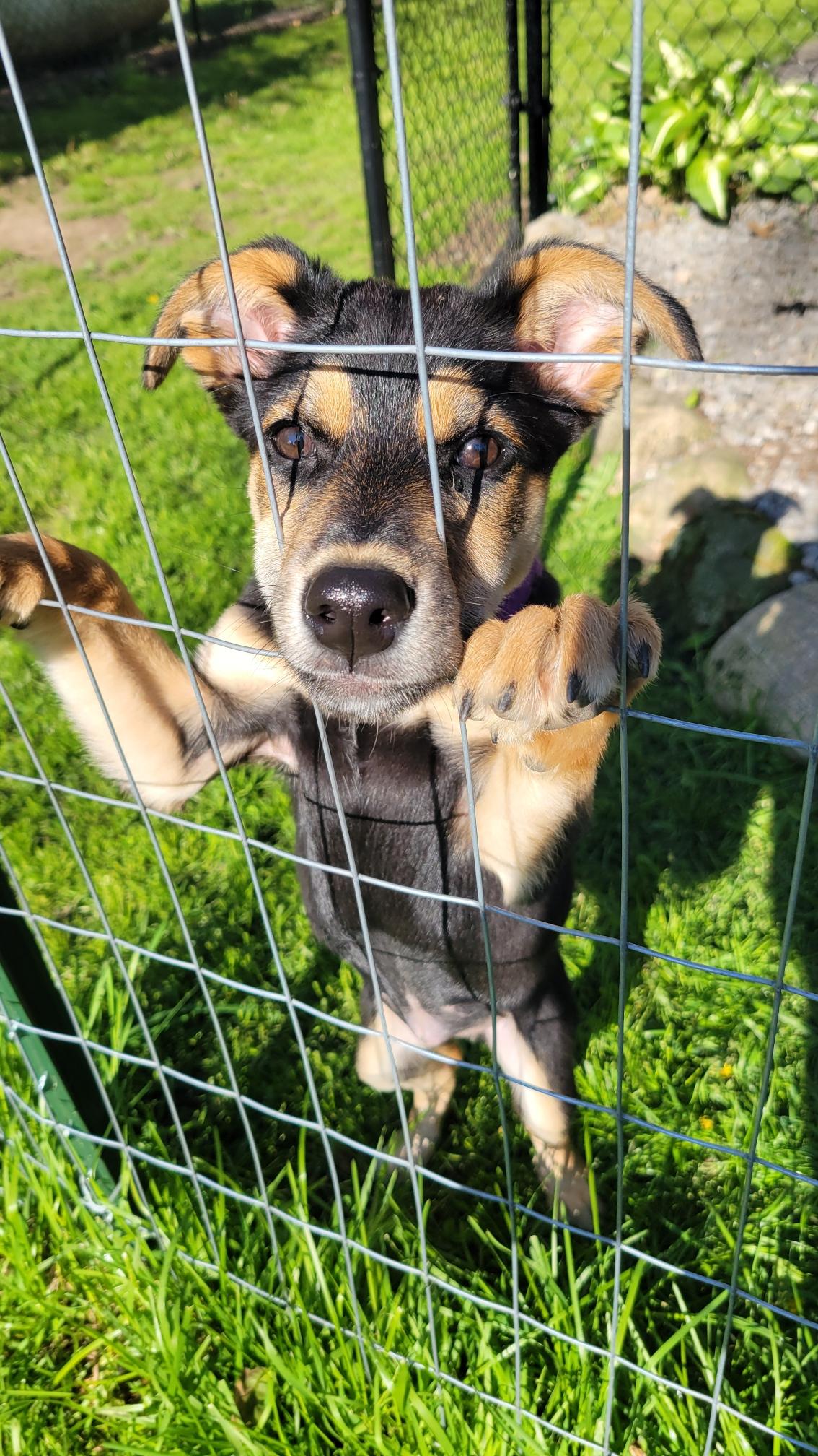 Maya photo 5