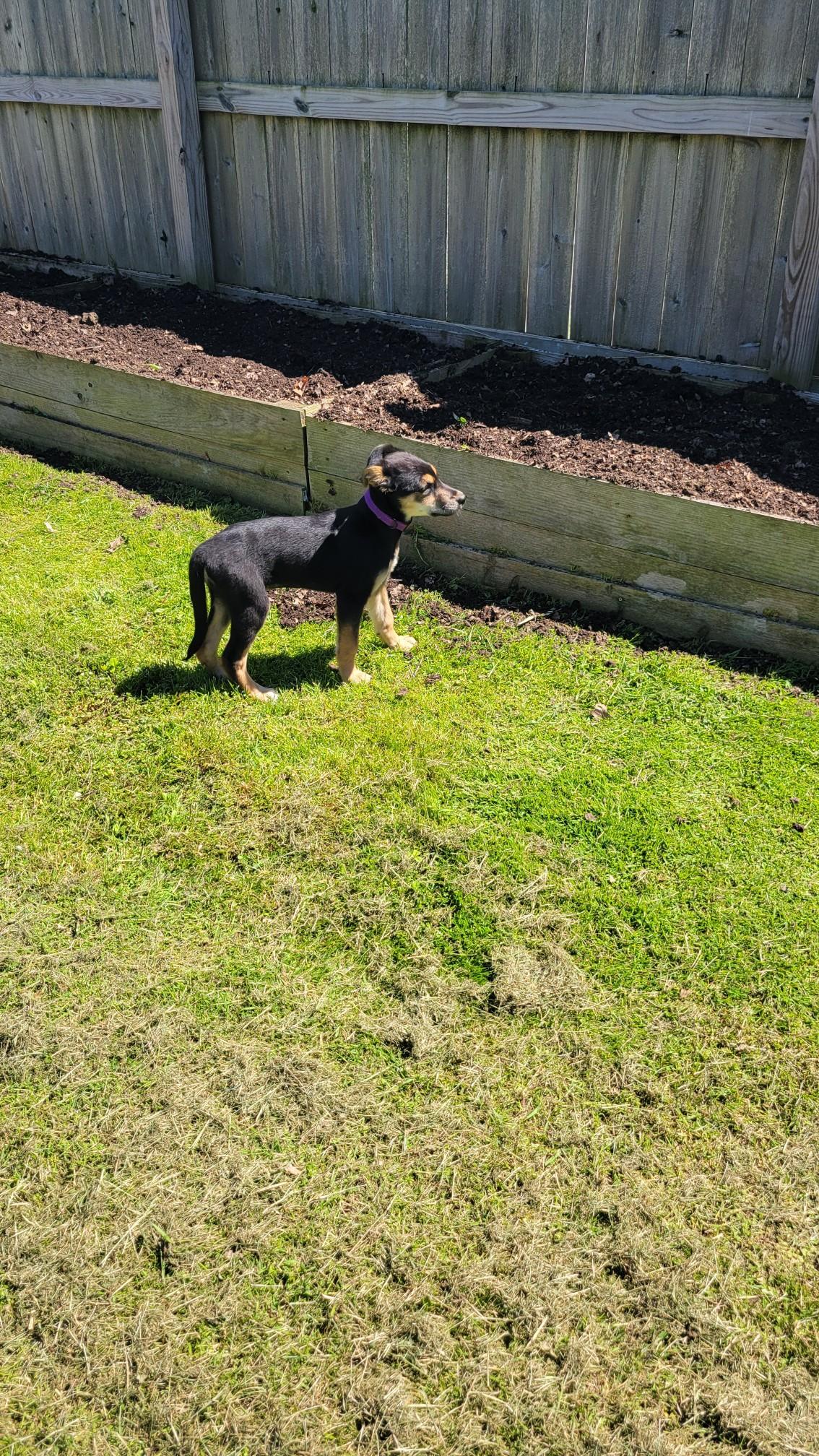 Maya photo 2