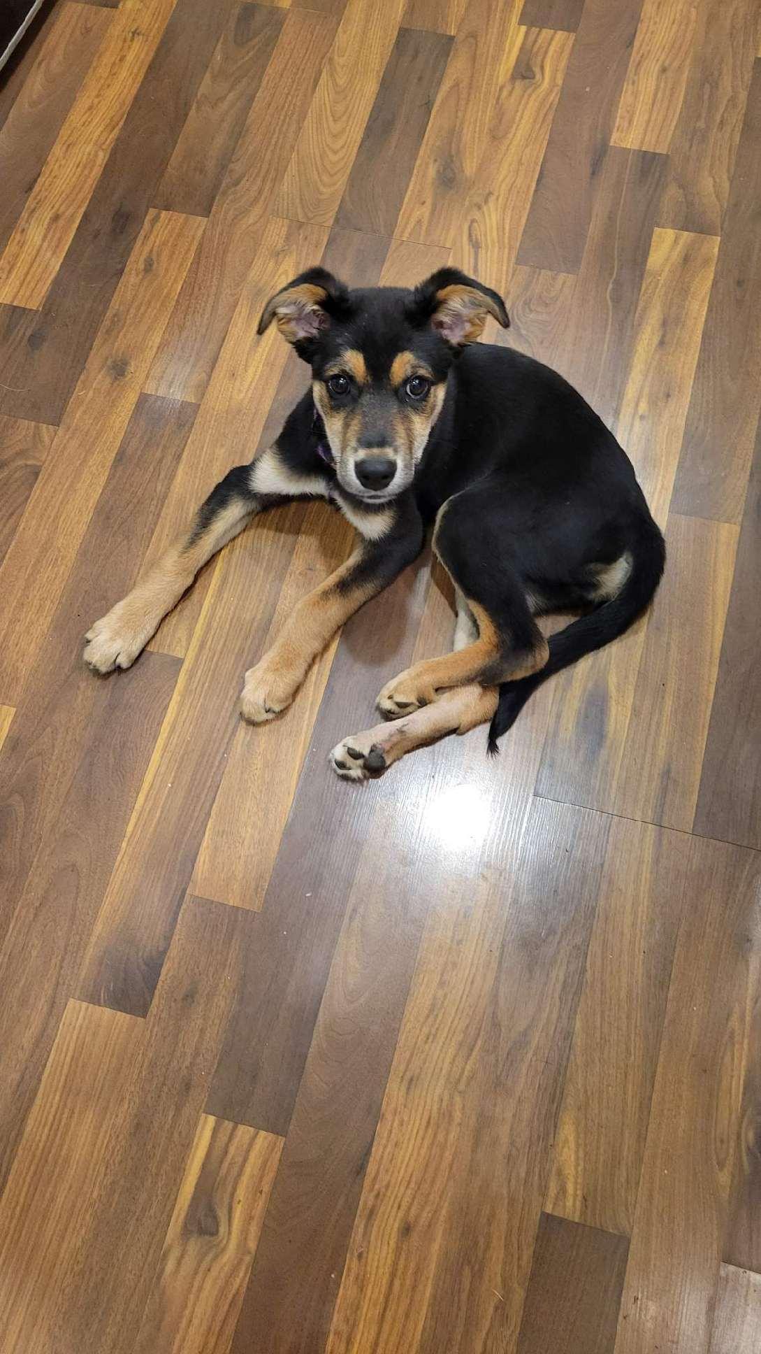 Maya photo 4
