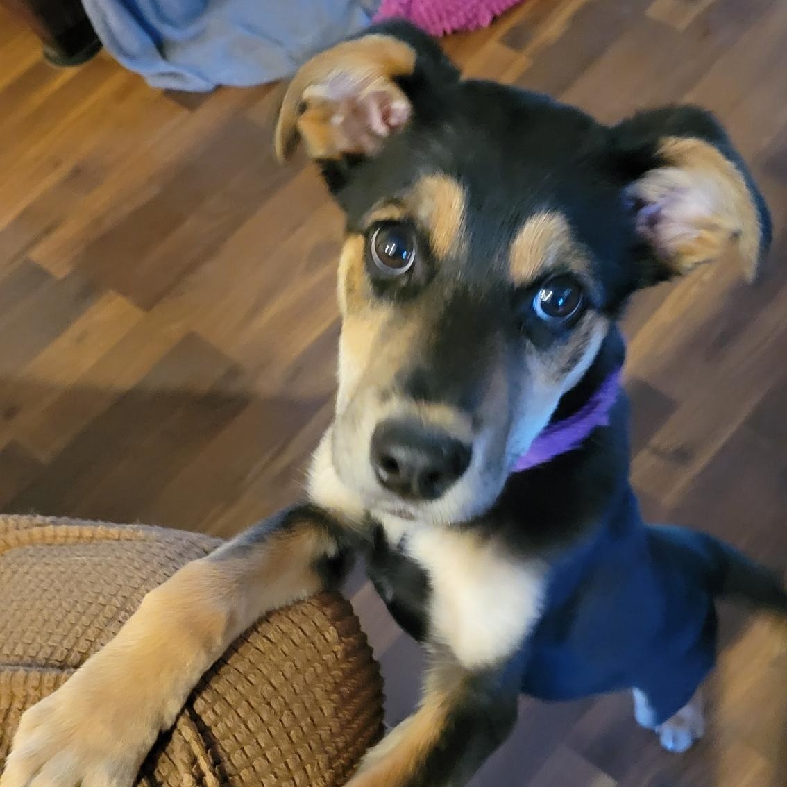 Maya photo 1
