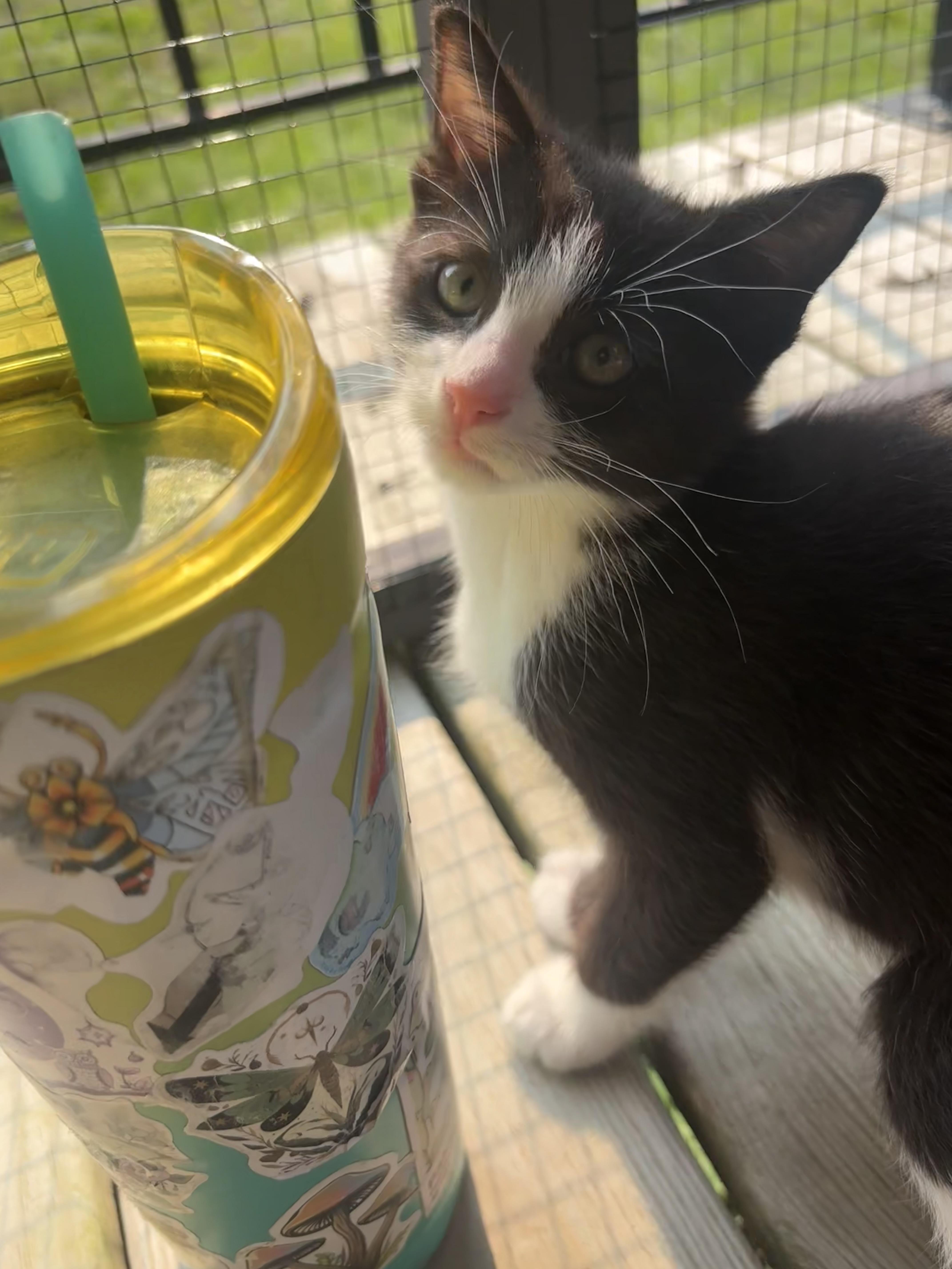 Wilder- 10 weeks old 3