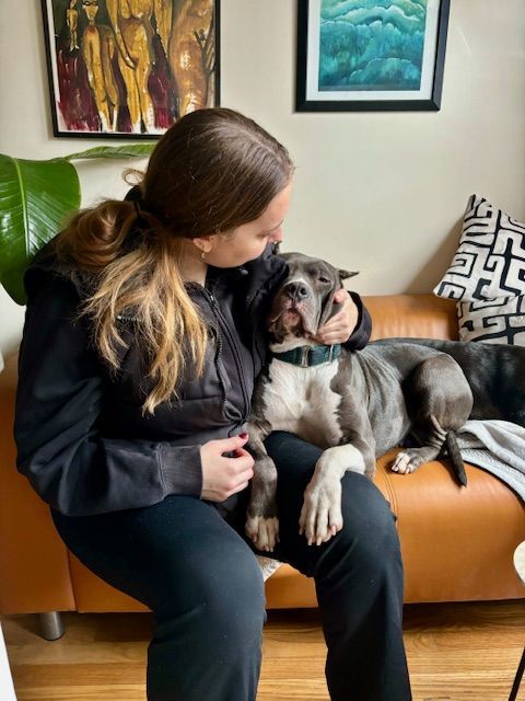 Enlarge Big beautiful NINA, a Adoptable mixed breed in lynbrook, NY image 2/6