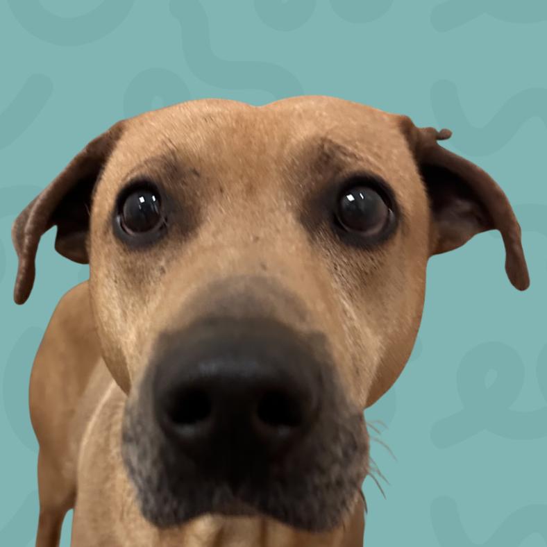 Sean — thumbnail 2